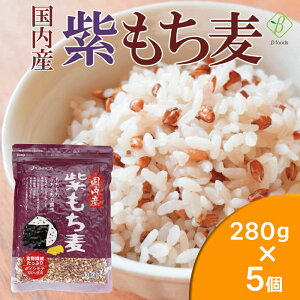 xXgAjeB Y100 280g×5Zbg Y |tFm[ AgVAjW n H@ 唞 OJ _CGbgނ 