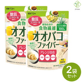 井藤漢方製薬 オオバコファイバー 160g × 2袋セット サイリウム 食物繊維 国内製造 おおばこダイエット 粉末 糖質0 オオバコパウダー オオバコ 送料無料 メール便 [M便 1/3]