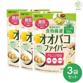 井藤漢方製薬 オオバコファイバー 160g ×3袋 サイリウム 食物繊維 国内製造 おおばこダイエット 粉末 糖質0 オオバコパウダー オオバコ 送料無料 メール便 [M便 1/3]