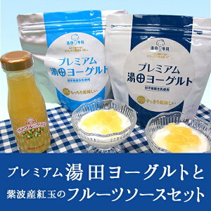 プレミアム湯田ヨーグルト1袋(800g)×2袋と紫波産紅玉のフルーツソースセット送料無料ギフト