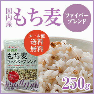 【メール便・送料無料】もち麦ファイバーブレンド250g