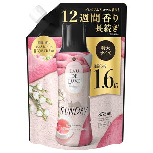 Lenor mA I[hNX tpr[Y }ChtlXV[Y Tf[ lߑւ 855ml