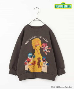 g[i[ XEFbg LbY xr[ ZT~Xg[g R{g[i[ s[hbgv~G SESAME STREET p.premier 90cm-130cm P511025