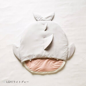 y撅p2_20%OFFN[|zz10_tf[zЂƂ  ˂Ԃ ׃r[ MOCMOF Nt oYj T X[sOobO 622-564173