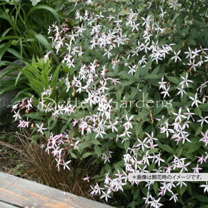 y敪Azy9cm|bgzMjAEgtHA[^q~coVcP\Eryhzq2025/09/27FtWJA2026JԌݕcr