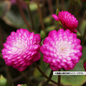 y敪Azy9cm|bgzኄ@d炫@qAWryR쑐Ehzq2025/11/15AtWJr