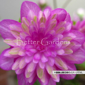 y敪Azy9cm|bgzኄ@d炫@aqIryR쑐Ehzq2025/11/15AtWJr