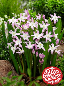 y敪Bzy^110z`ImhNT fsNWCAgfqTCYF5/+cmr