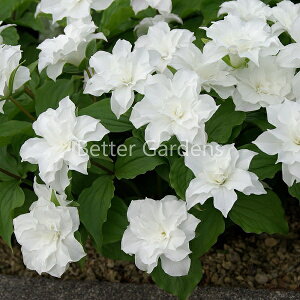 y敪Azy9cm|bgzgEEOfBt ftvm'yhzq2025/10/16݁Gxr