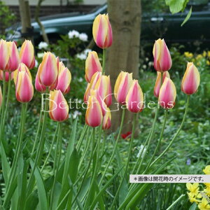 y敪Bzy^14z`[bv 'ubVOfB' ynSLFd炫x炫zqTCYF11`12cmr