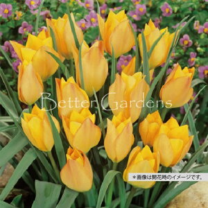 y敪Bzy^18z`[bvEo^j[ 'uCgWF'ynSFnzqTCYF6`7cmr