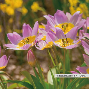 y敪Bzy^18z`[bvETNTeBXynSFnzqTCYF6/+cmr