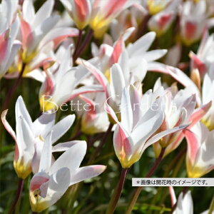 y敪Bzy^14z`[bvENeBJ 'qf'ynSFnzqTCYF6/+cmr