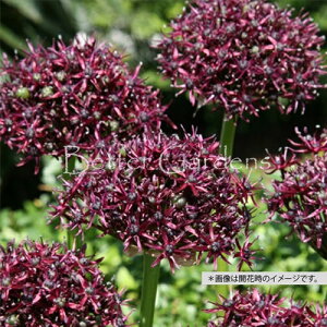 y敪Bzy^15zAEEAgvvEqTCYF10/+cmr