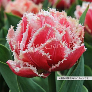 y敪Bzy^13z`[bv 'NB[Yh' ynFRFtW炫zqTCYF11`12cmr