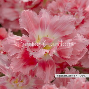 y敪Bzy^13z`[bv 'NXsIXB[g' ynFRFtW炫zqTCYF11`12cmr