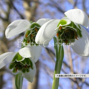 y敪Bzy9cm|bg^2AzKTX 'qb|e'yhENzqTCYF6/+cmrq2025/11/01AmFAĂ܂r