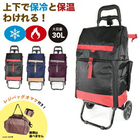 【本日10％クーポン発行中！】ショッピングカート 買い物カート キャリーカート 折りたたみ カート 軽量 軽い 保冷 保温 保冷バッグ キャリーバッグ クーラーバッグ ショッピングバッグ コンパクト 畳める 30L 旅行バッグ 大容量 ショッピングキャリー レジャー 2段 送料無料