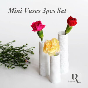 rader ~jt[x[X 3Zbg גԕr