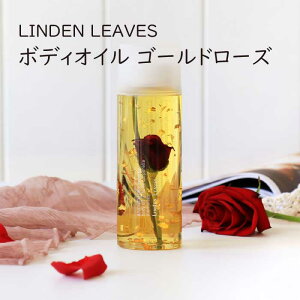 LINDEN LEAVES(f[uX) {fBIC S[h[Y {fB[IC 21660085