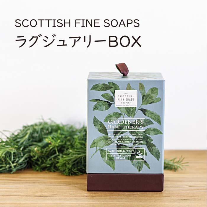 SCOTTISH FINE 【楽天ランキング1位】 ラグジュアリーBOX SOAPS タイムセール