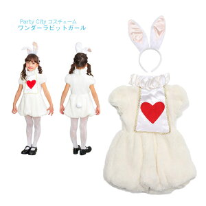 yParty Cityz_[rbgK[ 100cm 120cm   nEB p ETM rbg o[ s[X  J`[V RXv RX`[ 킢  p[eB[ q