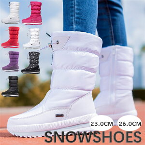 Xm[u[cC[gu[ckCȂfB[XYjp{AVуOu[ch~CCȌCl~u[cXm[V[Y}WbNe[vhh΍