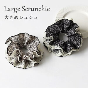 VVwAANZT[fB[X傫߃wASt[[XttubNzCgi蔯߃wAAW؍t`gi`l