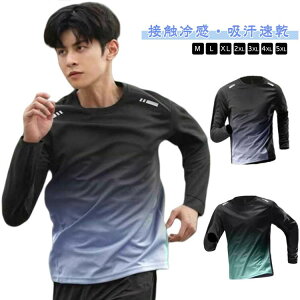 tVcėpYڐG⊴tzX|[cEFAtVctVcOf[VEH[LOuvJbg傫TCYTbVK[h悯ŃA_[