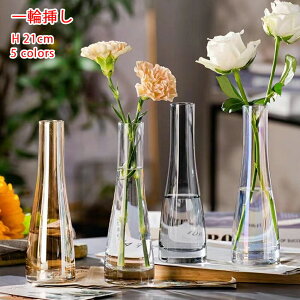 ԕrKX֑}Ԋt[x[XH21cm͔|kVvrOQ֏֑ӐHItBXԂт񒌐ԑԐAuVzjzjj