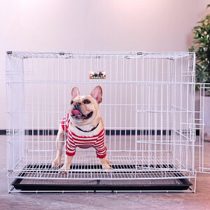 ybgP[Wx[VbNP[W܂肽݉\g[tꗯԕیEh~ړ֗