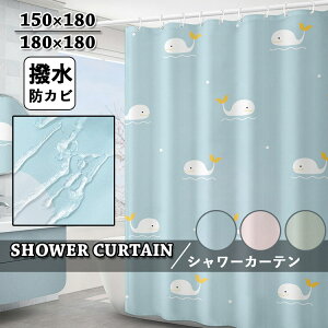 V[J[ehJru[O[sN킢kNWȂoXJ[eJ[eiVvqǂHՑCoX[jbgoXtb