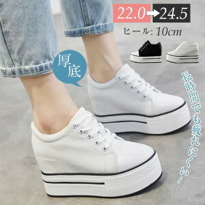 Xj[J[ꃌfB[Xn10cmq[Cq[JWA[XAbvԂłɂzCgubNrubNzCg22.0^22.5^23.0^23.5^24.0^24.5zex0