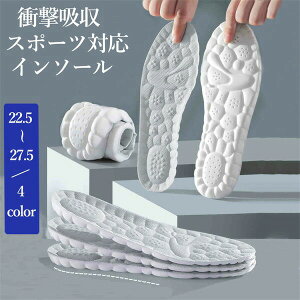 2w200C\[ӂӂ}V}Ռz~X|[cGJyʋΒʊw^22.5-27.5cmYfB[XO[O[ubNzCgw9x0