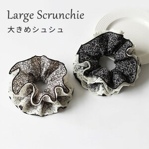 VVwAANZT[fB[X傫߃wASt[[XttubNzCgi蔯߃wAAW؍t`gi`l