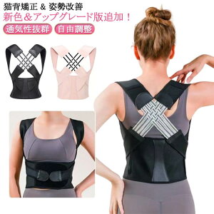 qjpT|[^[xgVFǉ/AbvO[hőLwxgpxgLww؋xgCi[YfB[X傫TCYڗ