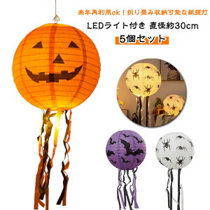 飾りハロウィン紙提灯ランタンちょうちんLED提灯ハロウィン直径約30cm蜘蛛コウモリ骸骨ドクロハロウィンライト装飾灯篭5個セット玄関屋外屋内室内学校店舗ハロウィン飾りハロウィーンパ