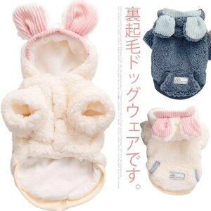 hbOEFARR{Aӂӂ킠p[J[O{^t[htht[Xp[J[Nу񕞌̕ybg킢L^^AE^[ʂ˂y