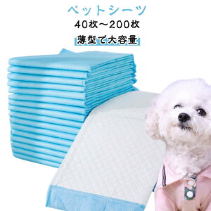 M[Ch8040ybgETMybggC200V[cgCV[gybgV[gV[g100ybgV[cV[gCh^ybgpV[ceʌV[cƖpP[X