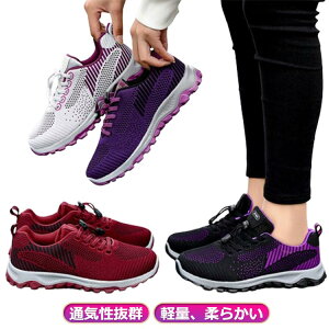 Xj[J[jOV[YYfB[XyʒʋCX|[cV[Y΂ȂSREH[LOV[ŸكV[YWCV[YJWA^Cpjp