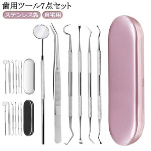 6点セット歯垢ステンレス製口腔ケア器具歯石取り自宅用スケーラー歯石とり6点セットケース付き先極細歯石除去ヤニとりプロ仕様虫歯デンタルツール自分で取る歯科ツールセット器具敬老