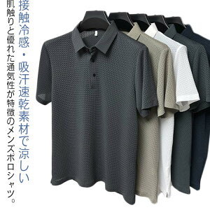 StEFAVcY||VcUVHڐG⊴StEFAĔgbvXʋCbtX|[cJWAItBXrWlXnĕZn