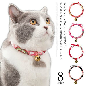 L֔L̎֔Lp֔LтlR֔L̎֎qL̎փybgpiSxttȘa_