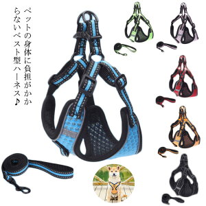 n[lX[hZbgn[lX^^^EFAn[lXփLbghbOybgg[jOybgpiU[hh~bV₷ybgn[