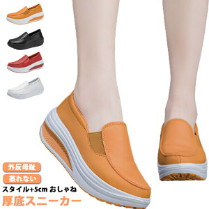 Xj[J[fB[X_bhXj[J[؍EH[LOV[YyʖhCq[Xj[J[傫TCY5cmCDꂫꂢ߂킢C₷V[Y