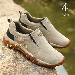 XG[hV[YYXj[J[CYCJWAV[YY[JbgamC₷Xb|YXj[J[JVYfbLV[YoRC傫TCYgb