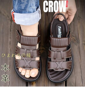 {vYT_YX|[cT_YrWlXT_r[`T_AEghAT_₷hɂʋCϋvQs24cm25cm27cm28cm