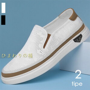 bVʋCXb|YXj[J[JVYfbLV[YrWlXV[YYV[YJWAV[Y[Jbg_炩yʕL3ETChSAgCr