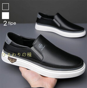 Xb|YXj[J[JVYfbLV[YrWlXV[YYV[YJWAV[Y[Jbg_炩yʕL3EbVʋCTChSAgCr