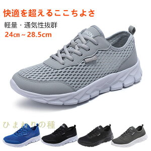 ʋC{ybVXj[J[YjOV[YLoXXj[J[y[JbgEH[LOX|[c􂦂LoXV[YʋCȂX|[cV[Y[Jbg